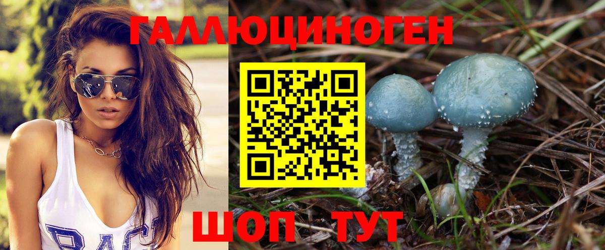 Галлюциногенные грибы MAGIC MUSHROOMS Усть-Илимск