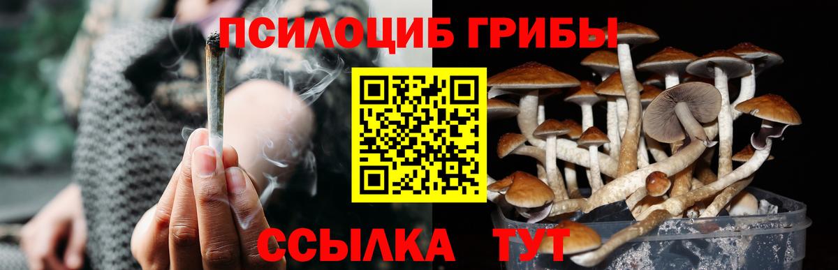 Галлюциногенные грибы Magic Shrooms  Вход с VPN  Усть-Илимск 